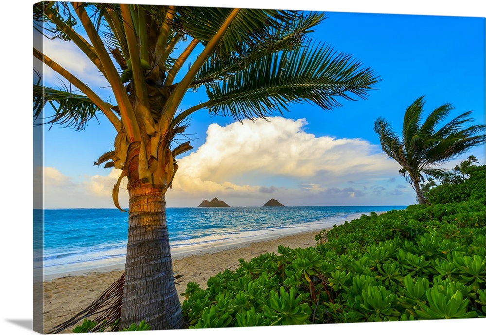 The golden sand and surf on Lanikai Beach with a view of the Mokulua Islands off the coast at sunrise; Oahu, Hawaii, Unite...