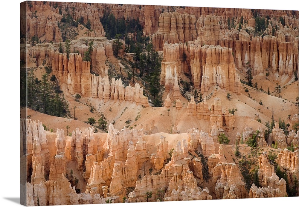 The Needles Of Bryce Canyon, Utah