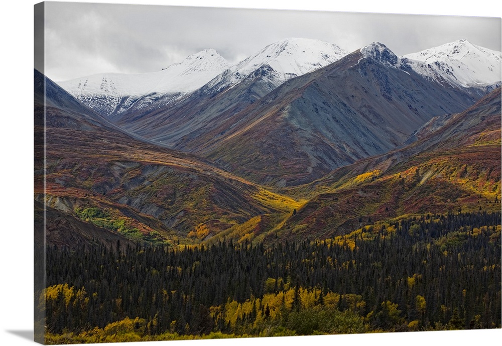 The Saint Elias Mountains In Autumn Colours Along The Haines Highway, Yukon, Canada