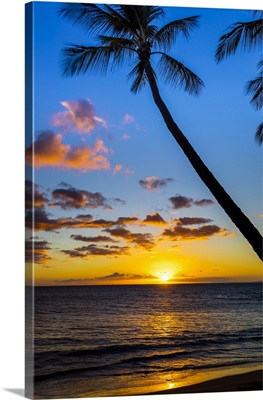 The Sun Setting Through Silhouetted Palm Trees, Wailea, Maui, Hawaii