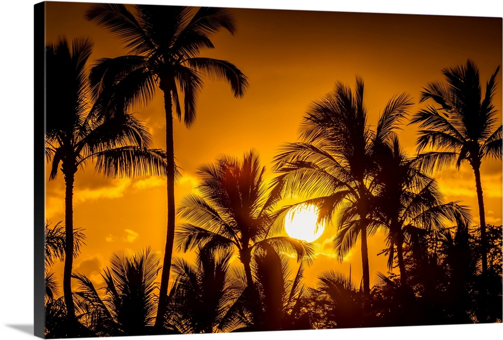 The sun setting through silhouetted palm trees; Wailea, Maui, Hawaii, United States of America.