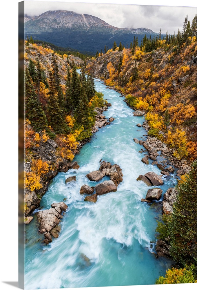The Tutshi River canyon as seen from the suspension bridge, British Columbia, Canada, Fall.