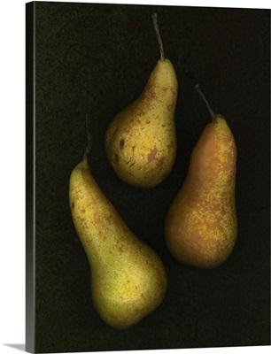Three Golden Pears