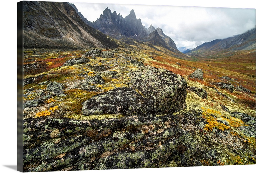 The Tombstone Valley in autumn colours with Tombstone Mountain rising above the tundra in Tombstone Territorial Park, Yuko...