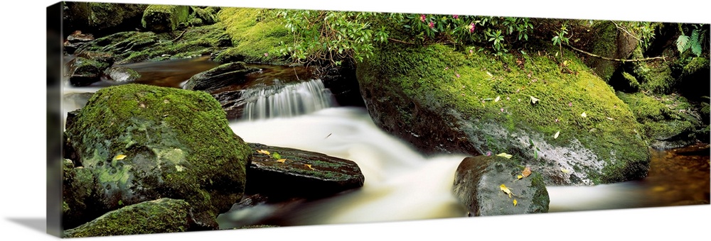Torc River Flowing Through Forest, Killarney, Ring Of Kerry, County Kerry, Ireland