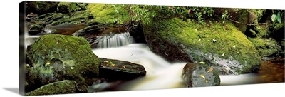 Torc River Flowing Through Forest, Killarney, Ring Of Kerry, County Kerry, Ireland