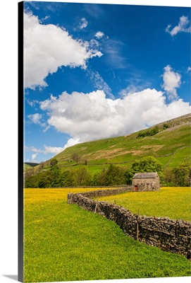 Traditional Meadows In Swaledale In Early Summer, Muker, North Yorkshire, England
