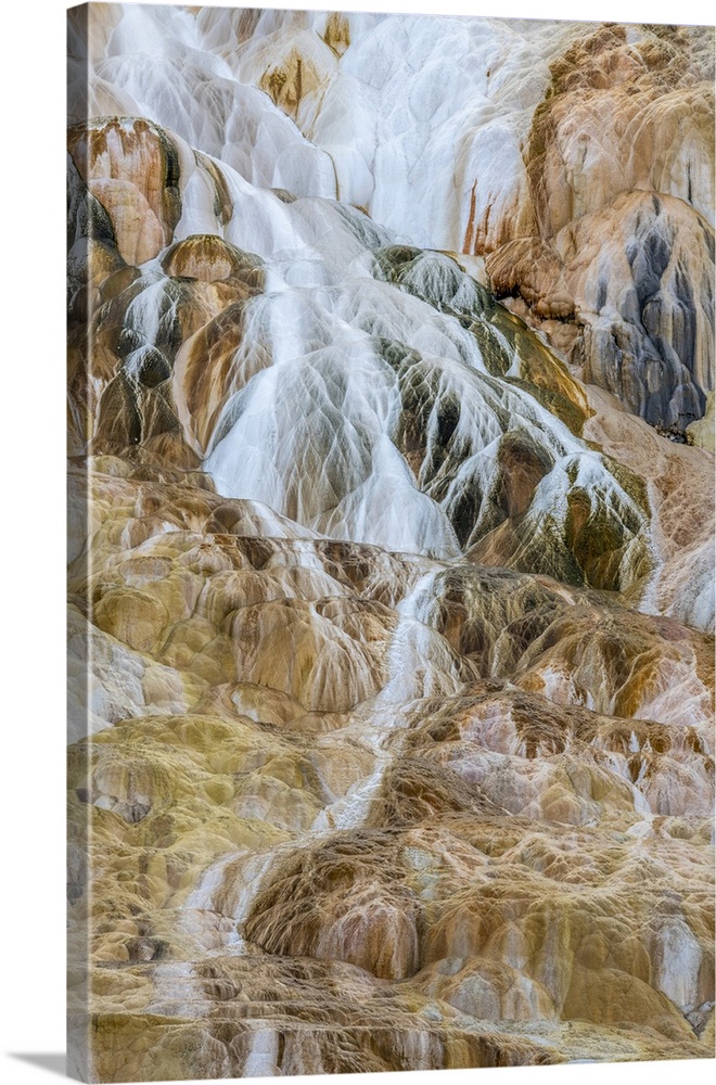 Thermal runoff channels create travertine mineral deposits at Canary Spring of the Mammoth Hot Springs in Yellowstone Natu...