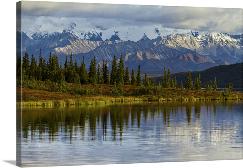 Trees reflected in the surface of Wonder Lake in Denali National Park.