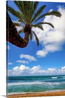 Tropical Views Of The Pacific Ocean From Waikiki Beach, Honolulu, Oahu, Hawaii