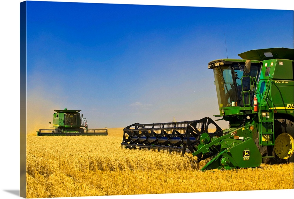 Two Combine Harvesters Work A Field Of Winter Wheat, Near Nesbitt, Manitoba, Canada