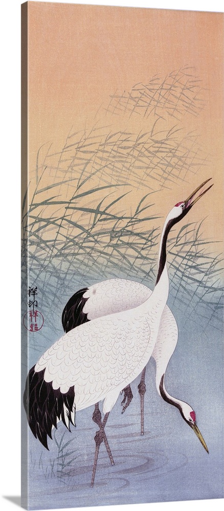 Two Cranes, a colour woodcut by Japanese artist Ohara Koson, 1877 - 1945.