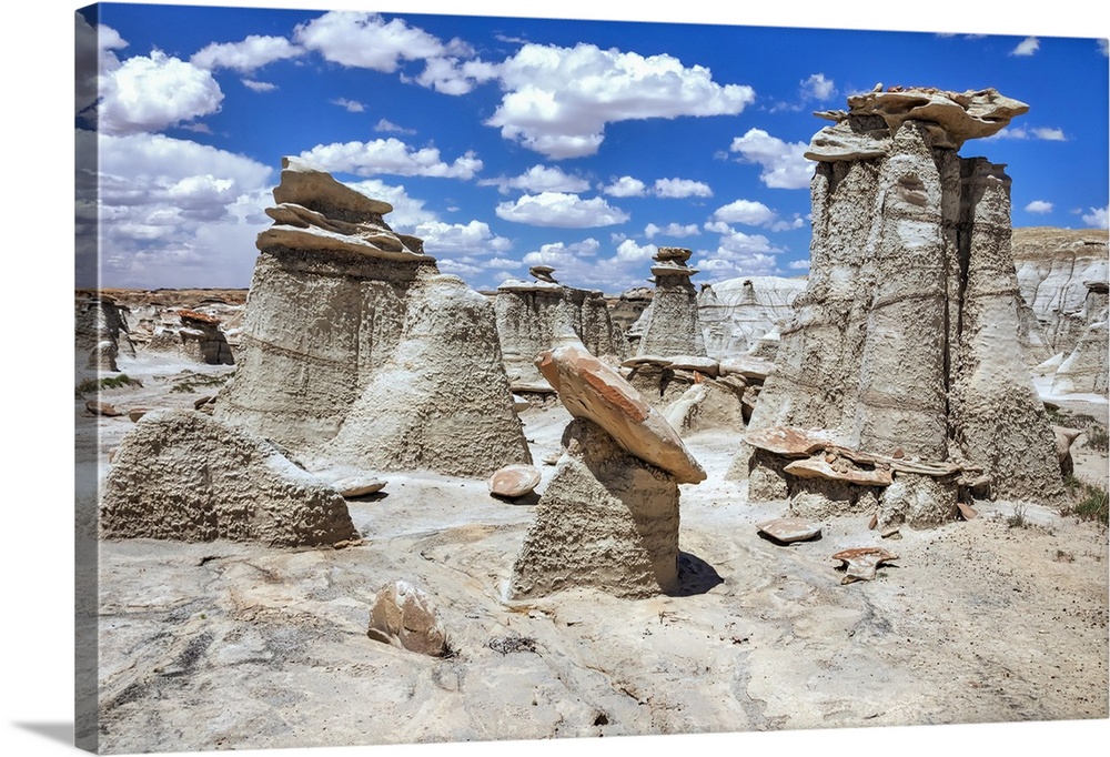 Unique rock formations, Bisti Badlands, Bisti/De-Na-Zin Wilderness, San Juan County; New Mexico, United States of America.