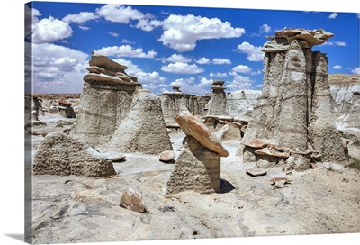 Unique Rock Formations, Bisti Badlands, San Juan County, New Mexico, USA