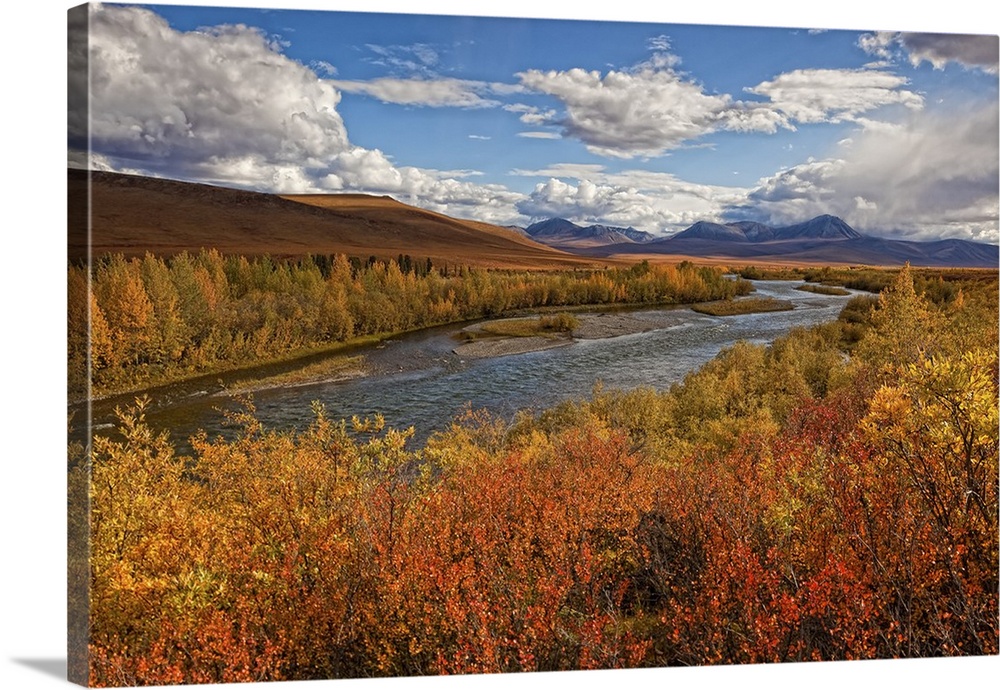 Upper Blackstone River Flowing North Along The Demspter Highway In Autumn, Yukon Canada
