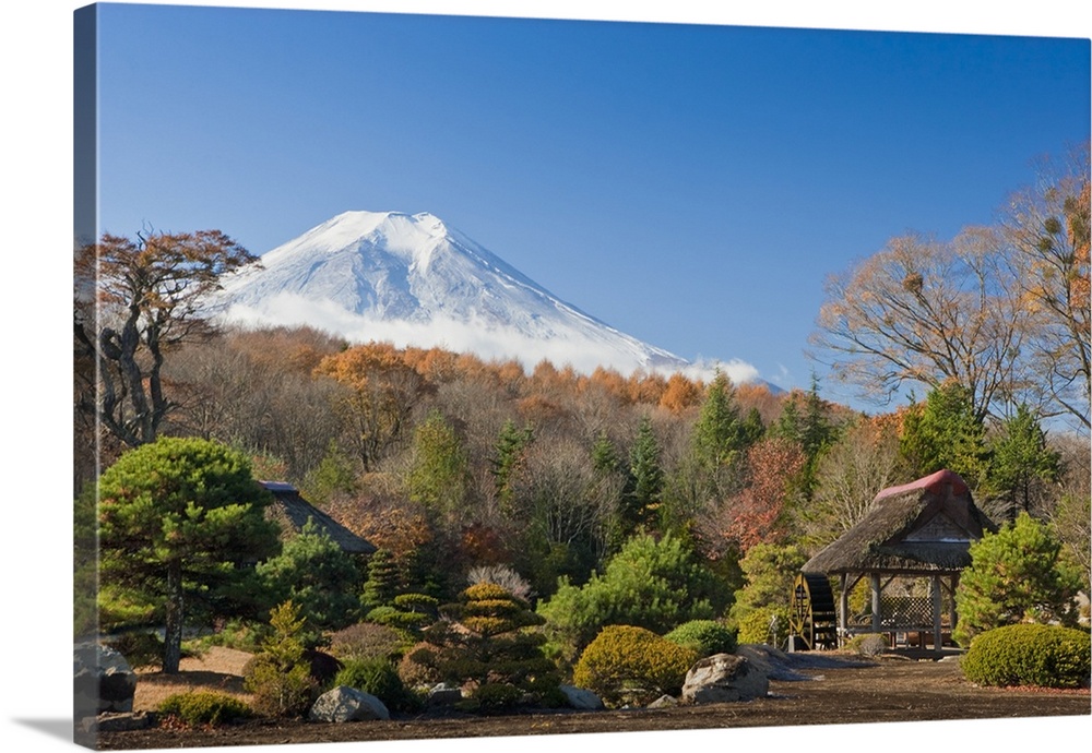 View Of Mount Fuji From A Japanese Garden; Yamanashi, Japan