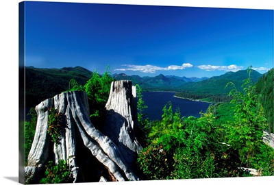 View Of Nitnat Lake, Vancouver Island, British Columbia