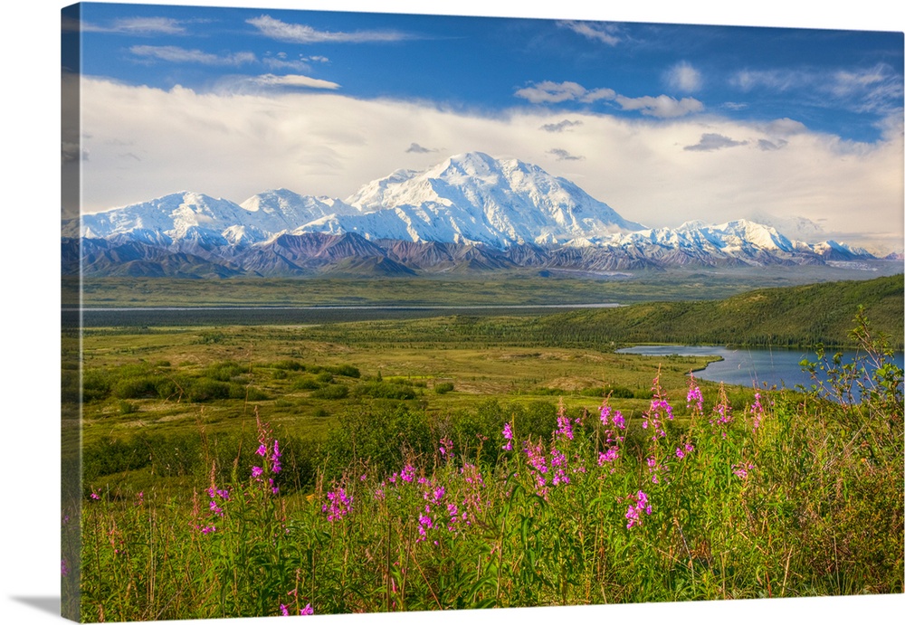 HDR image of the north side of snow covered Mt. McKinley, Alaska range mountains, McKinley River and bar on a sunny summer...