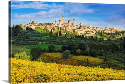 Vineyards and San Gimignano, Tuscany, Italy