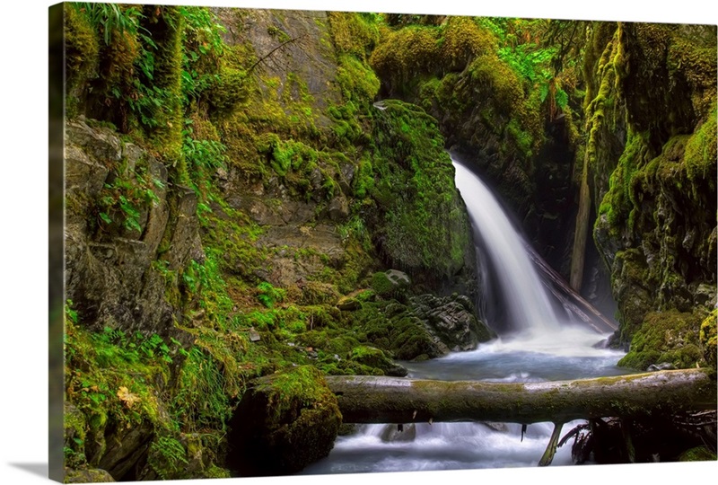 Virgin Creek Falls Near Girdwood Alaska HDR Image Great Big Canvas virgin-creek-falls-near-girdwood-alaska-hdr-image-great-big-canvas