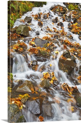 Water Cascading Over Rocks Covered In Leaves In Autumn