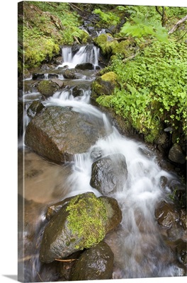Water Cascading Over Rocks, Mount Hood National Forest, Oregon