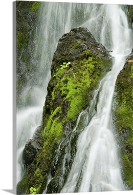 Waterfall flows over green foliage and rock outcrop, Cordova, Southcentral Alaska
