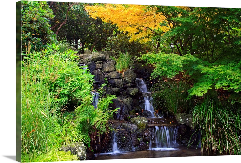 Waterfalls In Crystal Springs Rhododendron Garden, Portland, Oregon