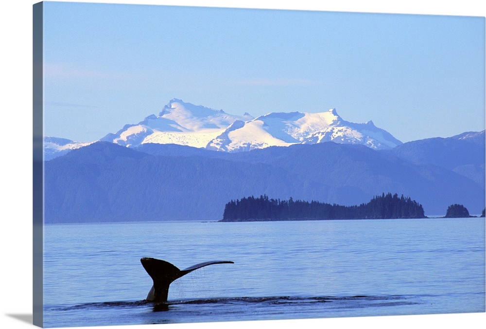 Whale Fin With Mountain Range