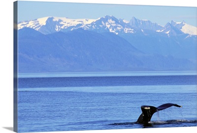 Whale Fin With Mountain Range