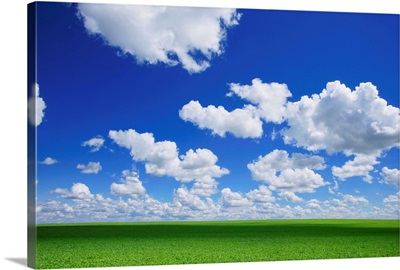 White Clouds In The Sky And Green Meadow