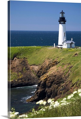 White Lighthouse On The Ocean With Wildflowers; Newport, Oregon, USA