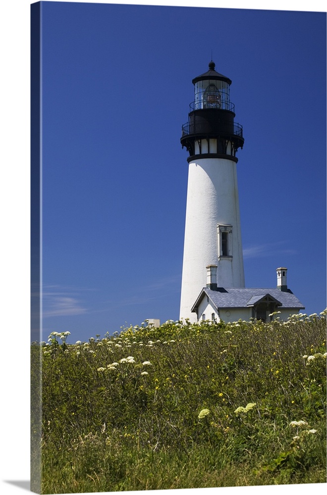 White Lighthouse With A Blue Sky And Wildflowers; Newport, Oregon, USA