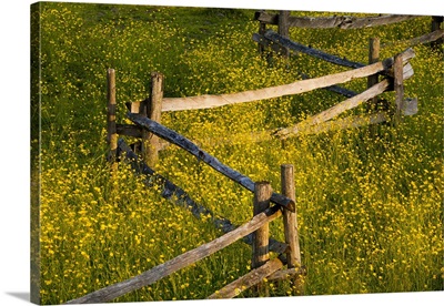 Wildflowers And A Wooden Fence At Sunset; Fulford, Quebec, Canada