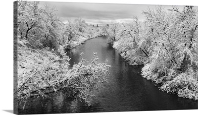Winter Wonderland Landscape, Thunder Bay, Ontario, Canada