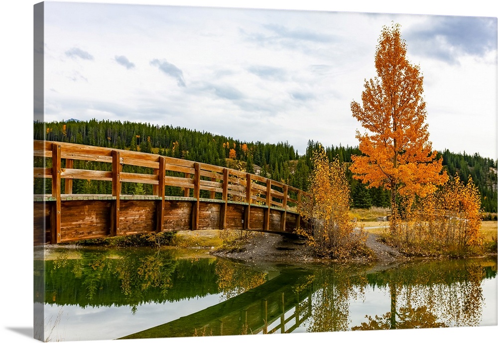 Wooden footbridge over a tranquil pond in autumn, Banff National Park; Banff, Alberta, Canada