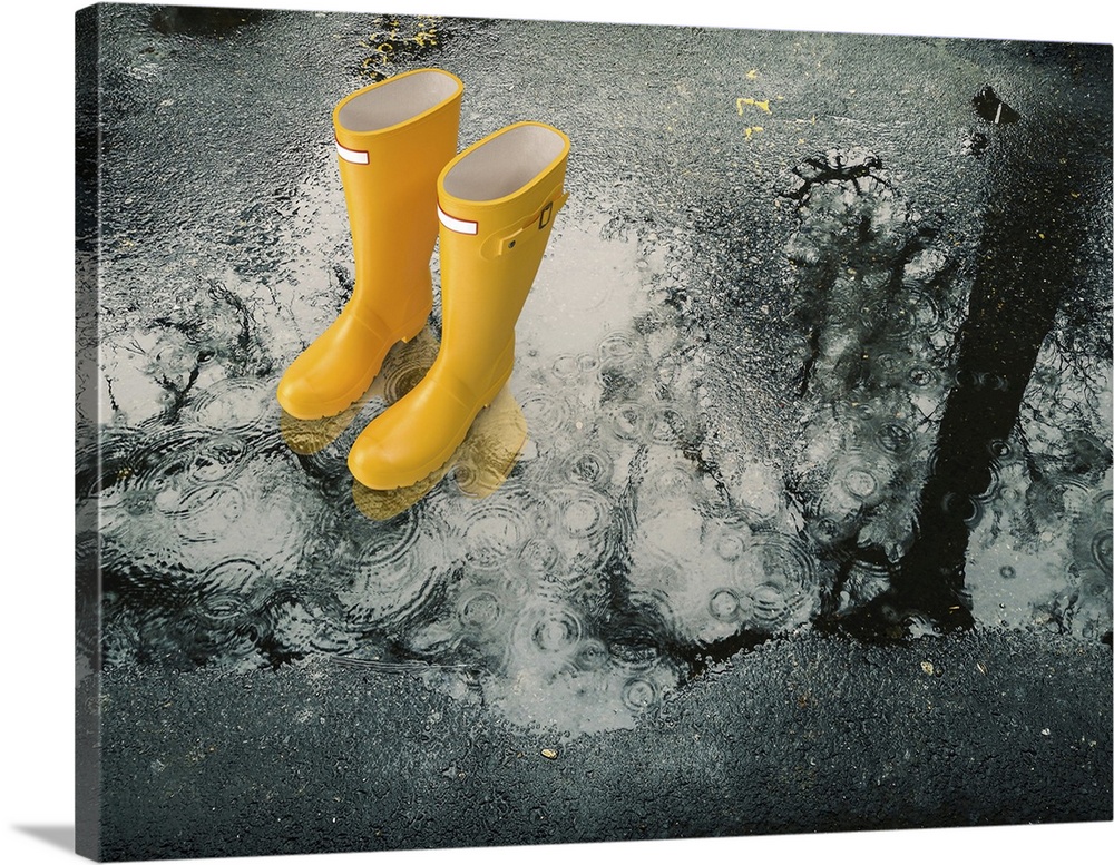 Yellow rubber boots in a rain puddle.