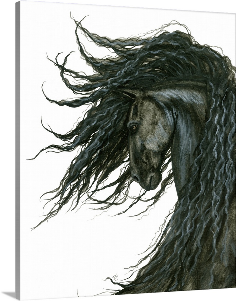 Majestic Series of Native American inspired horse paintings of a black mustang.