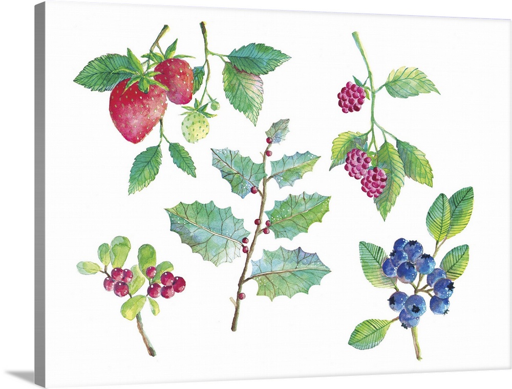 Contemporary painting of a collection of wild berries, including strawberries, blueberries, and holly.