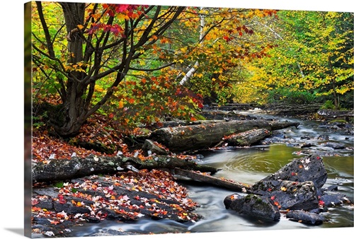 Fall Along The Madawaska River | Great Big Canvas