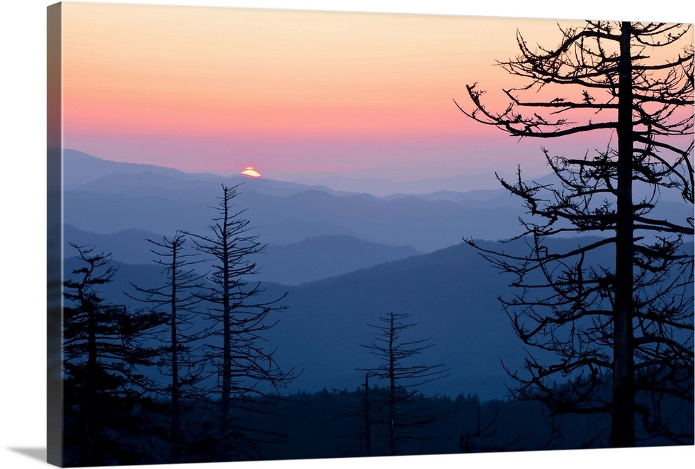 Large canvas print of the silhouettes of trees against layers of foggy mountains with the sun rising over top.