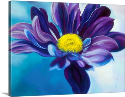 Daisy Blue Purple Aster