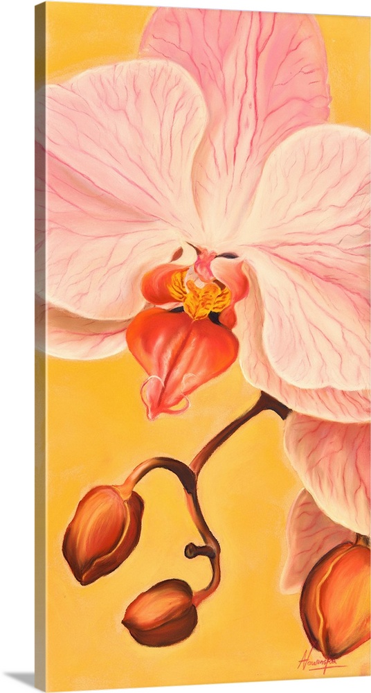 Contemporary botanical painting of a single blooming orchid on a golden background.
