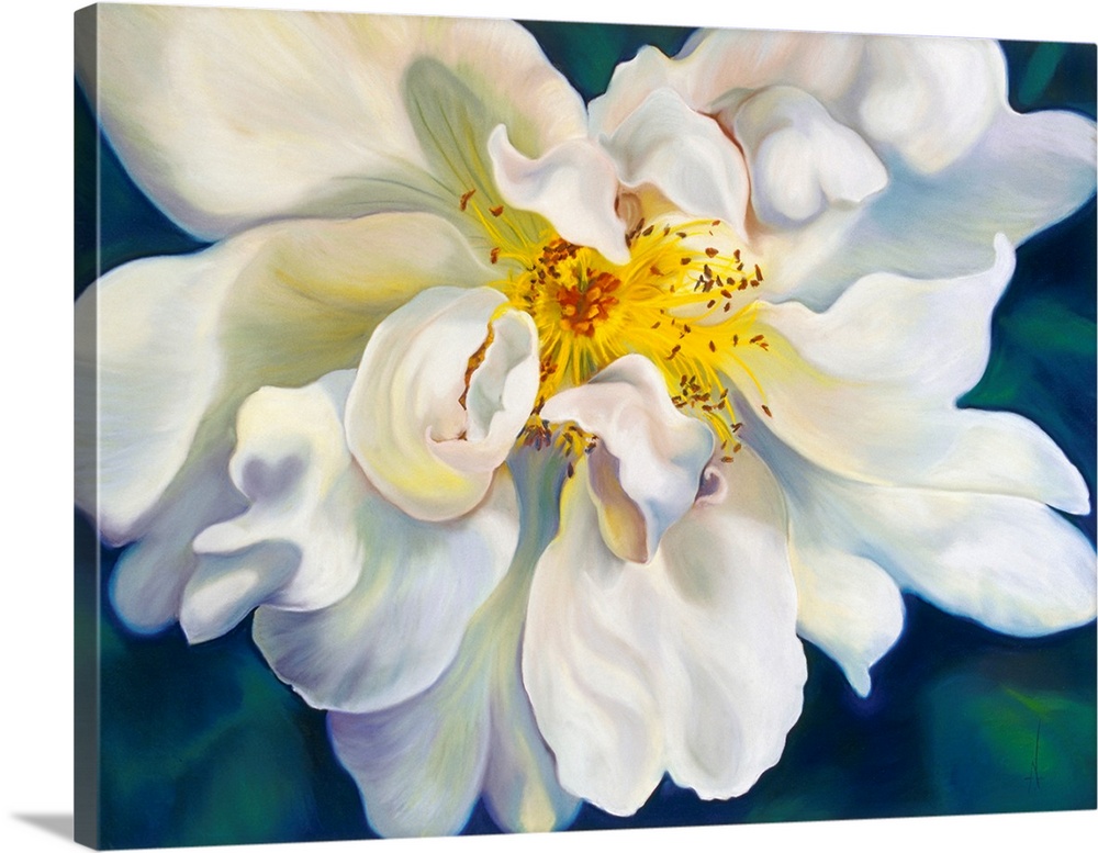 Debutante is a big flower painting of a delicate white wild rose on a deep green, teal background. The rose petals dance a...