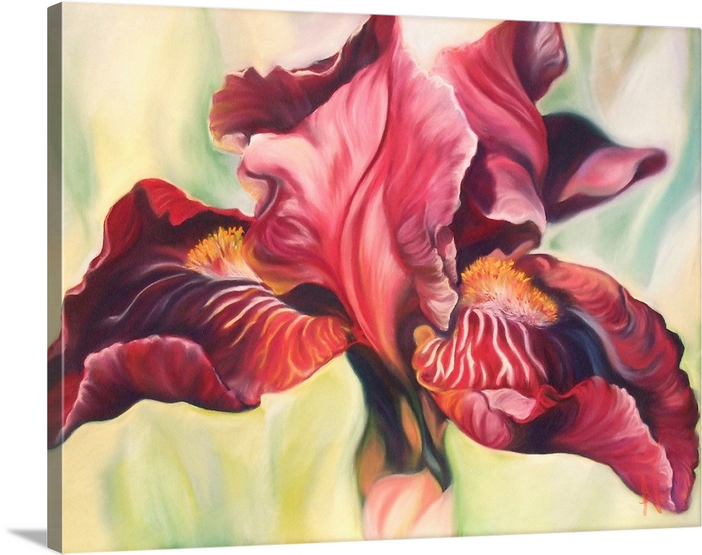 Madame is a big flower painting if a burgundy wine-colored bearded iris sitting on a bright pale-yellow green background b...