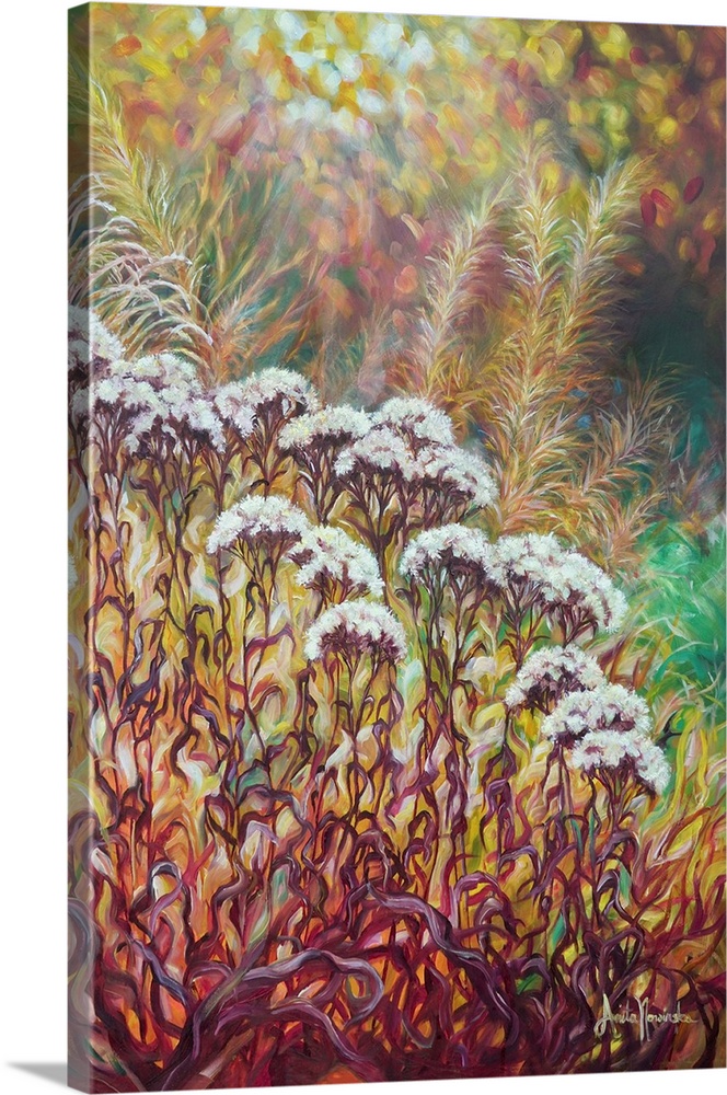 Manomaya is a contemporary painting of a wild garden border in the fall, with cream flu?y flower seedheads, umber & maroon...