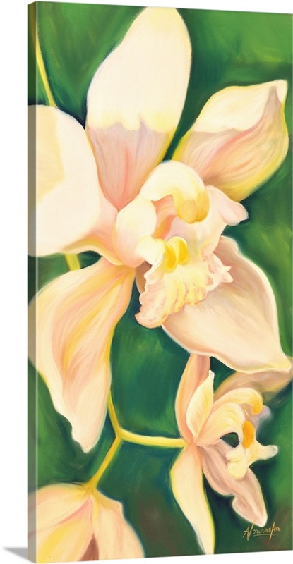 Orchidae | Great Big Canvas
