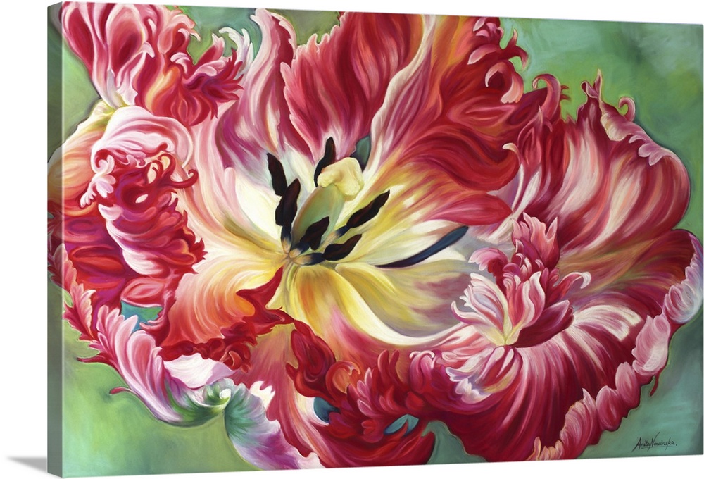 Puissance is a big flower painting of a vibrant parrot tulip in full bloom. It's curly petals in tones of rich red, pink, ...