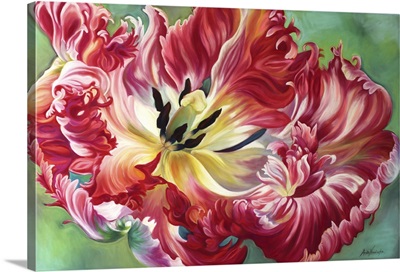 Puissance Parrot Tulip