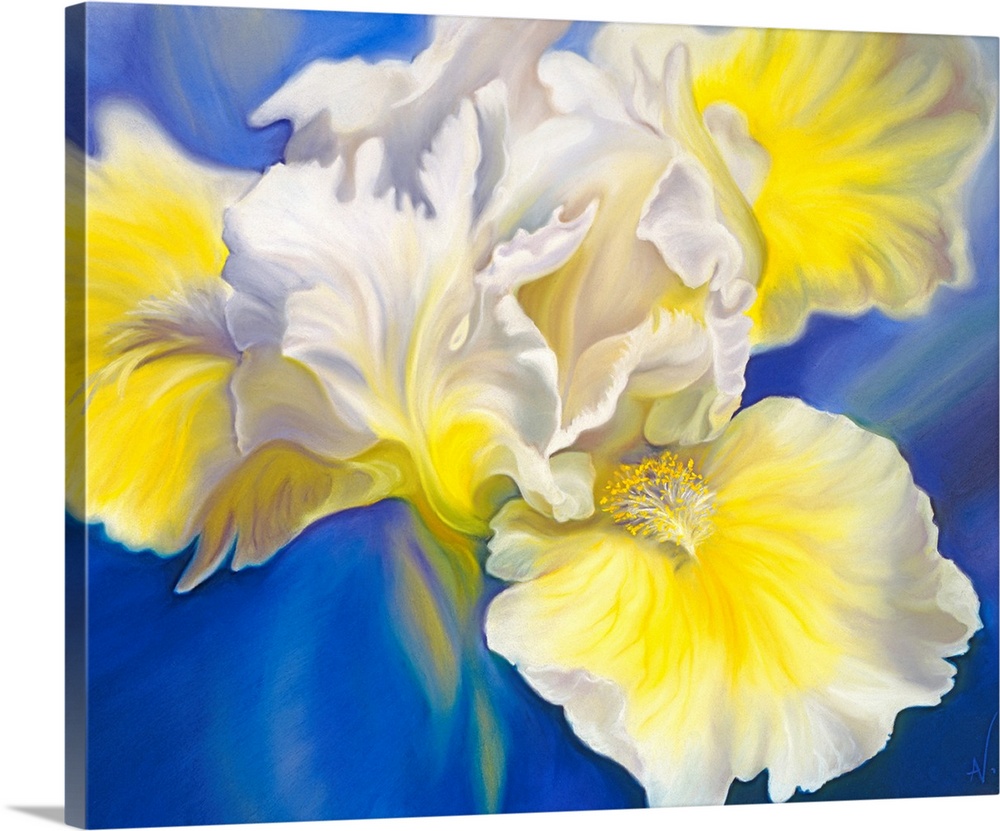 Refreshed is a big flower painting of a yellow and white bearded iris sitting on a rich blue background. It brings a burst...